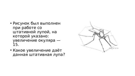 Учтите функциональность при выборе местоположения окуляра на брачной колонне