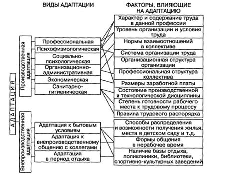 Факторы, влияющие на боковую симметрию и симметрию конечностей