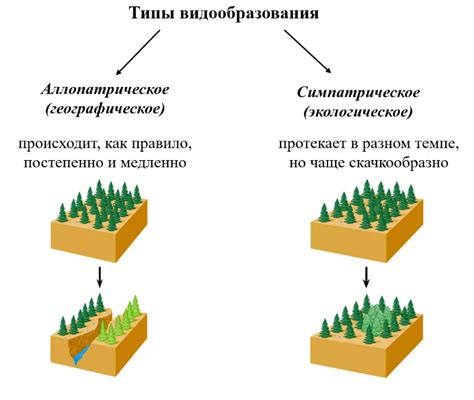 Факторы, влияющие на видообразование географическое