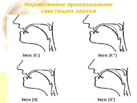 Факторы, влияющие на возникновение сложностей при произношении звука Р у взрослых