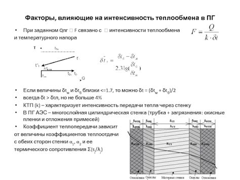 Факторы, влияющие на интенсивность перегара после употребления пива