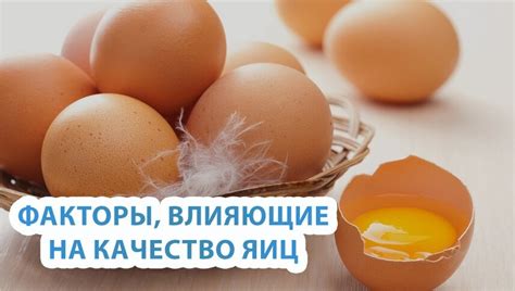 Факторы, влияющие на качество недавно добытого млека