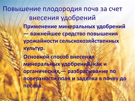 Факторы, влияющие на плодородие земли: значения, значимость и многообразие