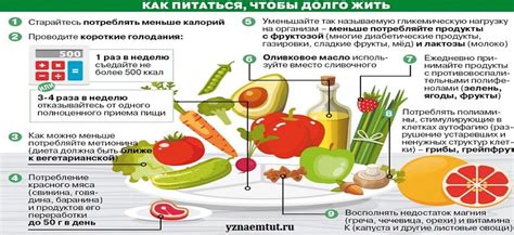 Факторы, влияющие на продолжительность этапа предварительного варения мяса