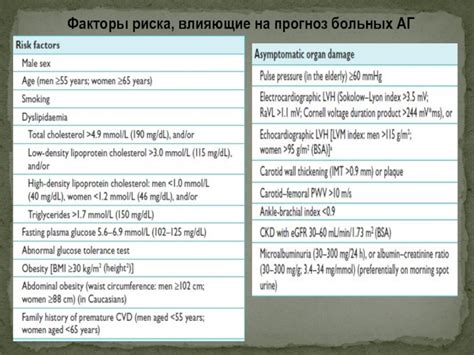 Факторы, влияющие на состояние артериальной системы