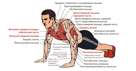 Факторы, которые повышают риск возникновения травм при повторных подходах на отжиманиях