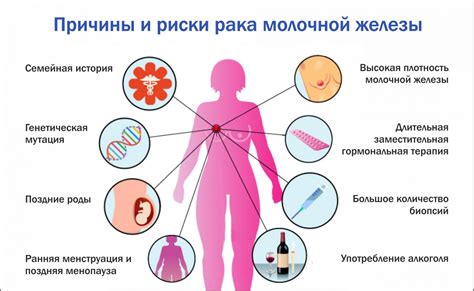 Факторы, повышающие вероятность развития рака молочной железы у женщин в зрелом возрасте