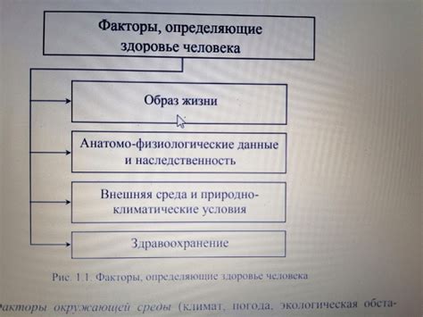 Факторы, способствующие формированию недостаточной смеси активов в банке