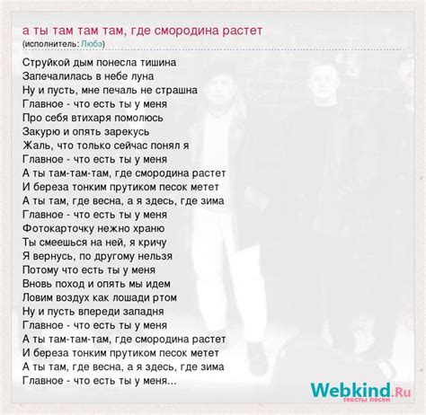 Факторы, способствующие широкому распространению и успеху песни "Любэ а ты там где смородина"