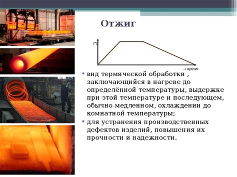 Факт №2: Важность термической обработки для повышения пищевой ценности