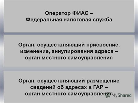 Федеральная налоговая служба: основной орган регистрации