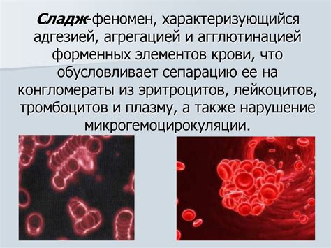 Феномен "обратного течения" и его мистическая репутация