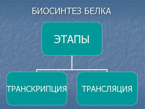 Ферментативный процесс восполнения витаминов в кишечнике