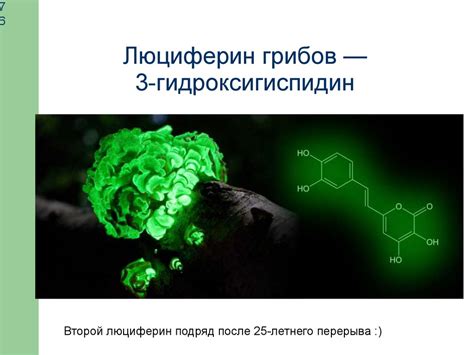 Физико-химические процессы, влияющие на образование осаждающих частиц