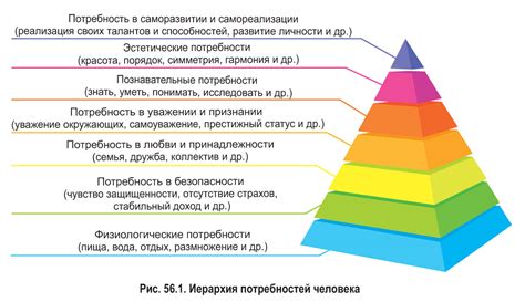 Физиологическая потребность в элементе "Zn"