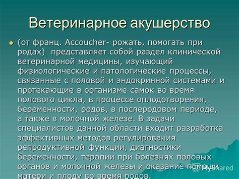 Физиологические процессы, связанные с возможным ухудшением качества воздуха при использовании одеял