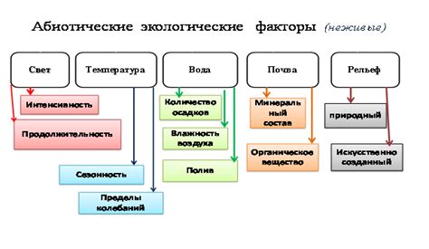 Физиологические факторы, приводящие к опадению листьев