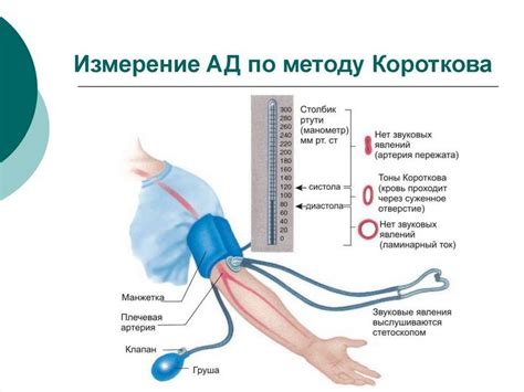 Физическая активность как эффективный метод регулирования артериального давления