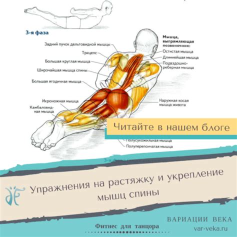 Физическая предпосылка и укрепление мышц