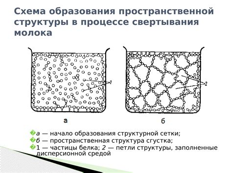 Физические и химические процессы при соединении разнонаправленных температур водных потоков