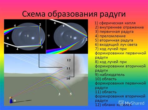 Физические процессы, ответственные за появление радуги: отражение и преломление световых лучей