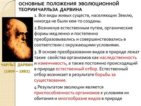 Физическое и психическое развитие животного: значение процесса в эволюционной перспективе