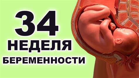 Физическое развитие малыша на 34 неделе беременности: прогресс и достижения