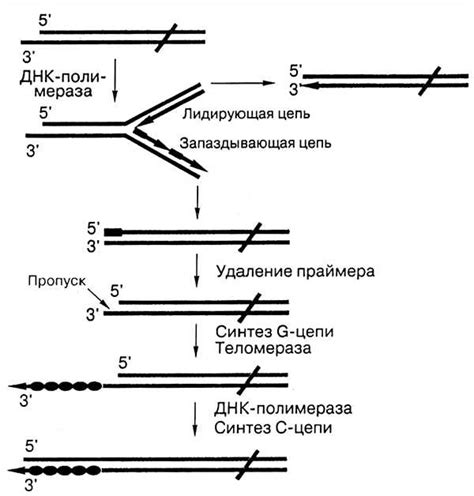 Фискализация: суть процесса и его значимость