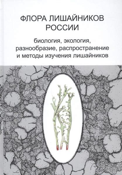 Флора лишайников: разнообразие и ареал распространения