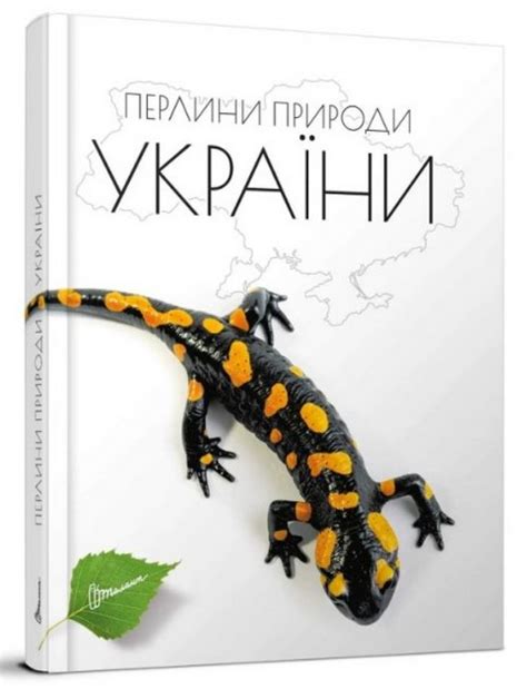 Фонти и механіка використання: знайдіть радісні перлини природи в світі пригод!