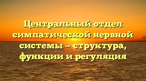 Функции и важность центрального контроллера в автомобиле Киа Спектра