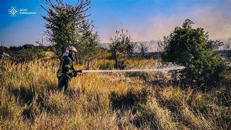 Функции лещины в экосистеме Ленинградской области