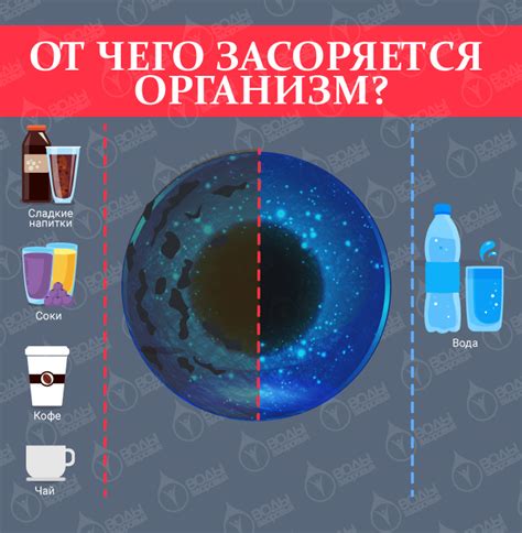 Функции ритмического покрова: защита и очищение организма