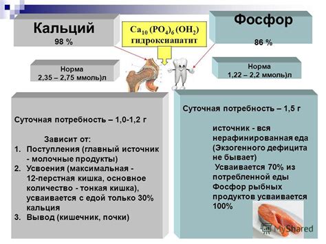 Функции фосфора в организме и последствия отсутствия или избытка