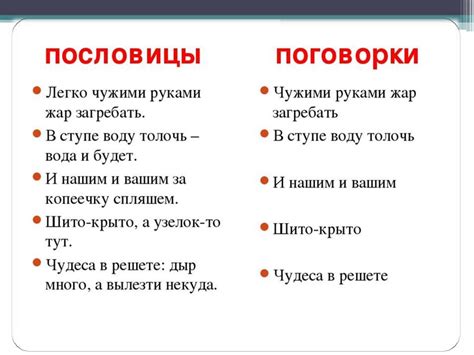 Функциональное предназначение пословиц и их роль в языке