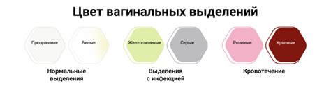 Функциональность влагалища: разнообразие выделений и регулирование кислотности