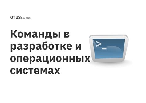 Функциональность команды dir в операционных системах