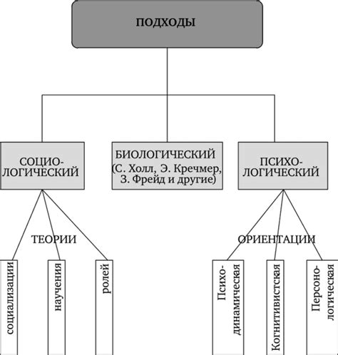 Функциональные подходы к изучению мозга: указание пути к пониманию его работы