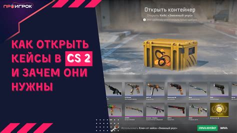 Функционал и возможности активации кейсов в CS GO