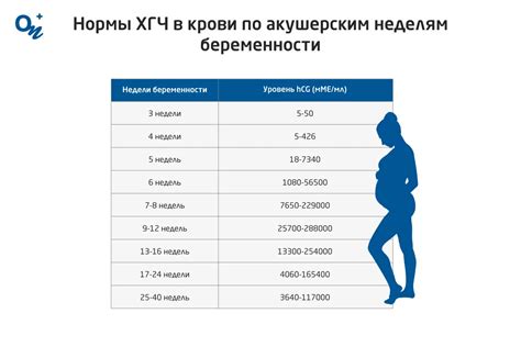 ХГЧ: не только показатель беременности, но и регулятор гормонального равновесия