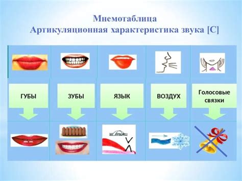 Характеристика мягкой артикуляции и роли разделительного полутвёрдого элемента