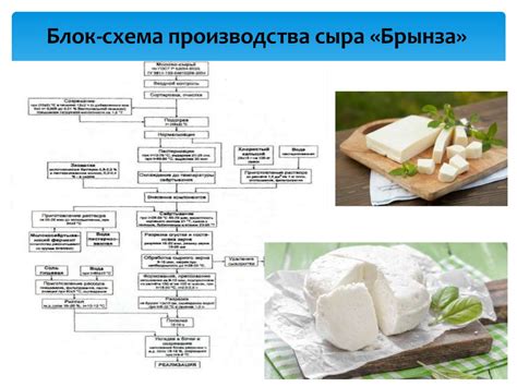 Химический состав и технология производства аналога сыра, используемого в супах