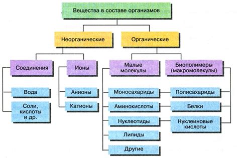 Химический состав специфической магической формулы: активные компоненты и их воздействие