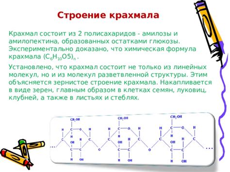 Химическое строение амилопектина: влияние разветвления на свойства крахмала