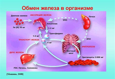 Хронические недуги и состояния, связанные с избытком железа