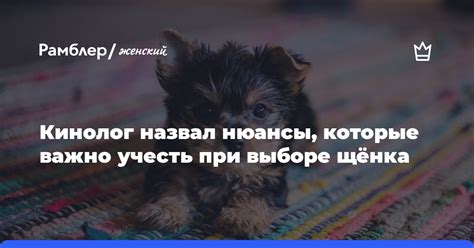 Цена и время выполнения заказа: что важно учесть при выборе мастерской