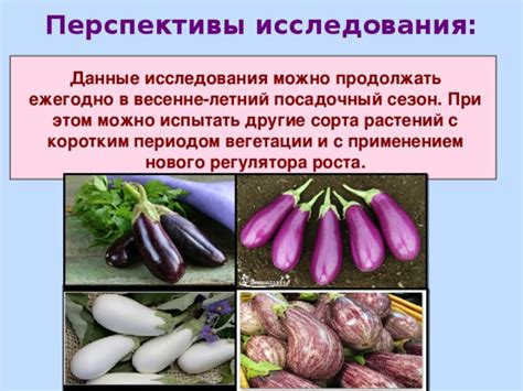 Центральные регионы: выбор сортов с коротким периодом вегетации