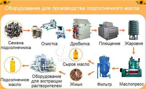 Центральный федеральный округ: лидер по производству подсолнечного масла