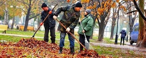 Цикл уборки осенней листвы в парках и скверах Москвы