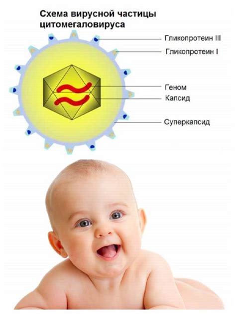 Цитомегаловирус у детей: